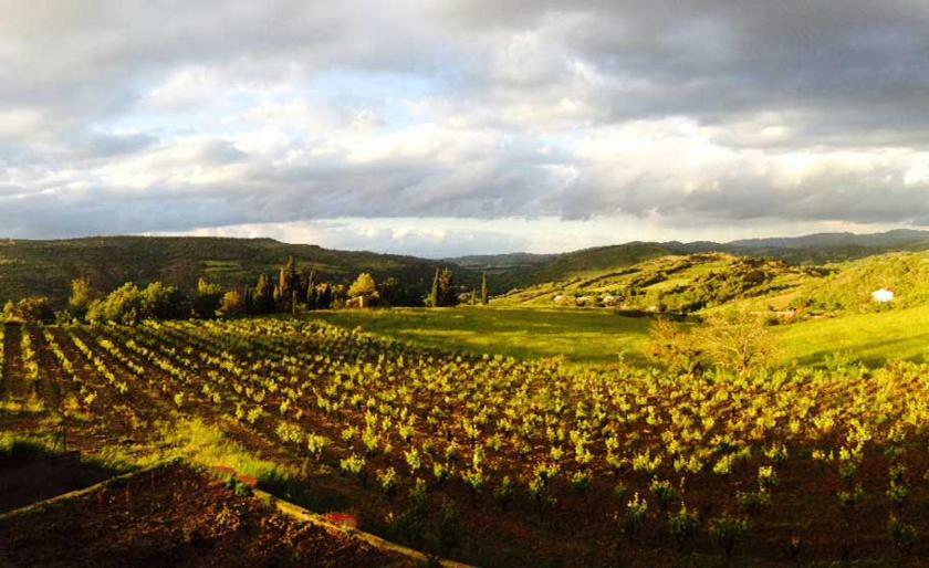 Gite Vigneron Du Domaine D'Alon Villa Magrie Eksteriør billede