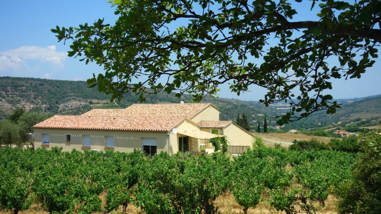 Gite Vigneron Du Domaine D'Alon Magrie Eksteriør billede