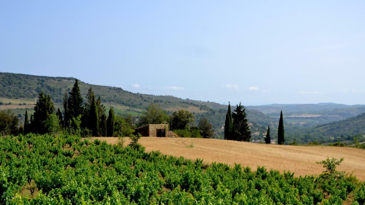 Gite Vigneron Du Domaine D'Alon Villa Magrie Eksteriør billede