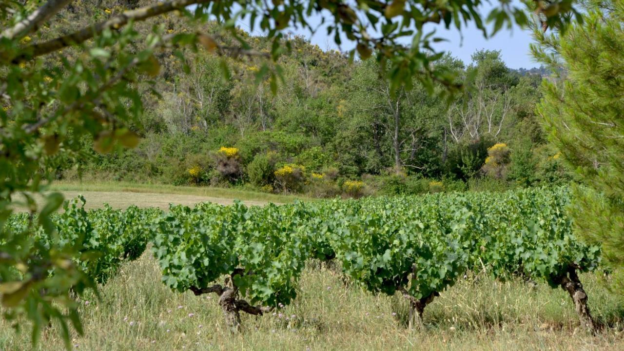 Gite Vigneron Du Domaine D'Alon Villa Magrie Eksteriør billede