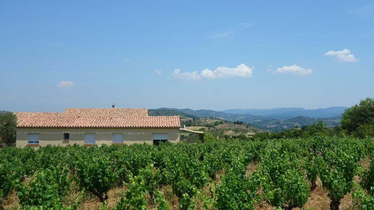 Gite Vigneron Du Domaine D'Alon Magrie Eksteriør billede