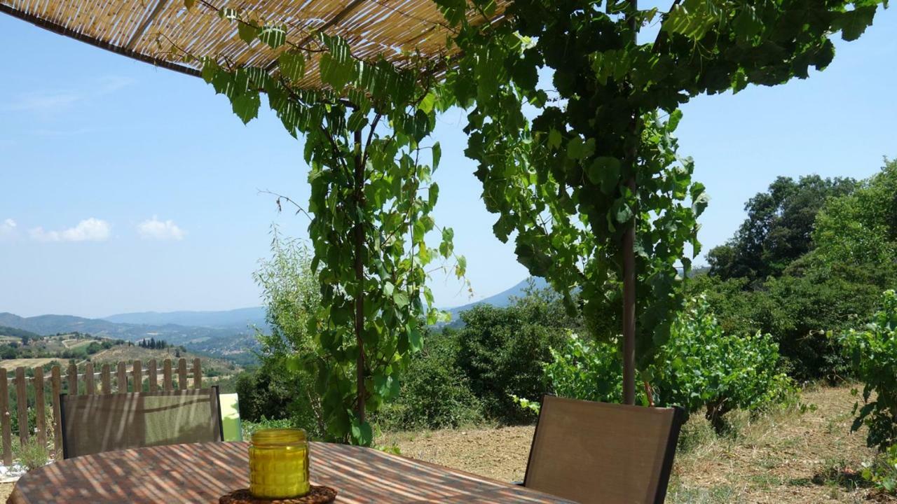 Gite Vigneron Du Domaine D'Alon Magrie Eksteriør billede